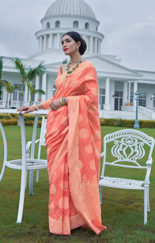 Pumpkin Orange Woven Chikankari Saree with Intricate Design