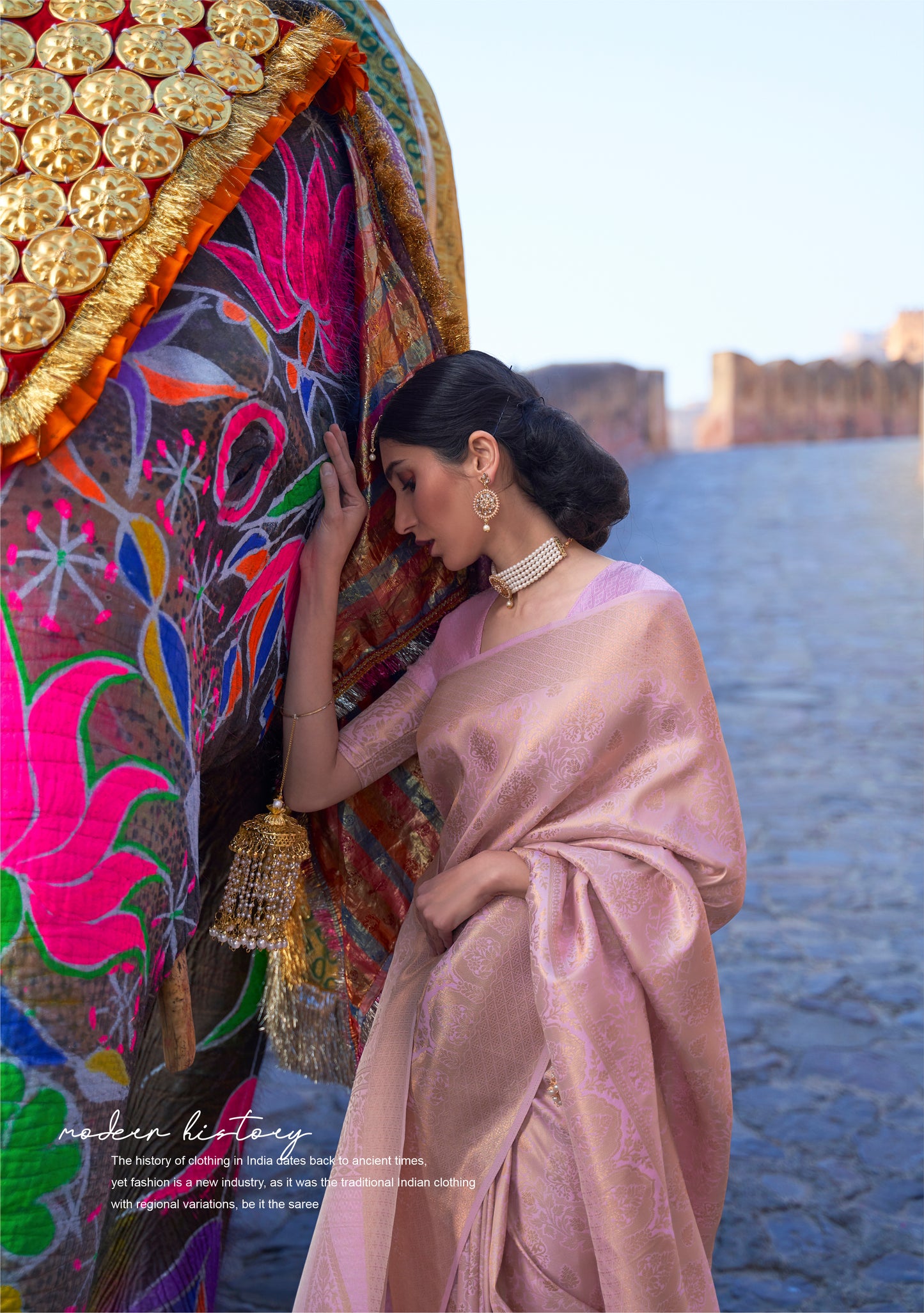 Flamingo Pink Brocade Single Tone Kanjivaram Saree With Zari Weaving