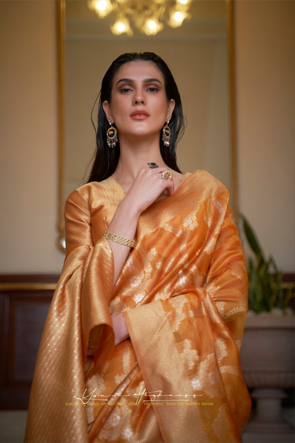 Orange Banarasi Organza Saree with Woven Jaal Weaving