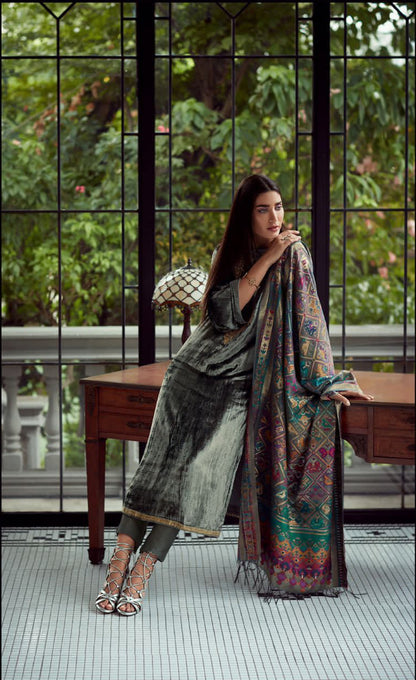 Greenish Grey Velvet Embroidered Salwar Suit with Patola Dupatta